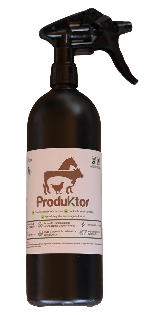 Explora ProduKtor por dentro